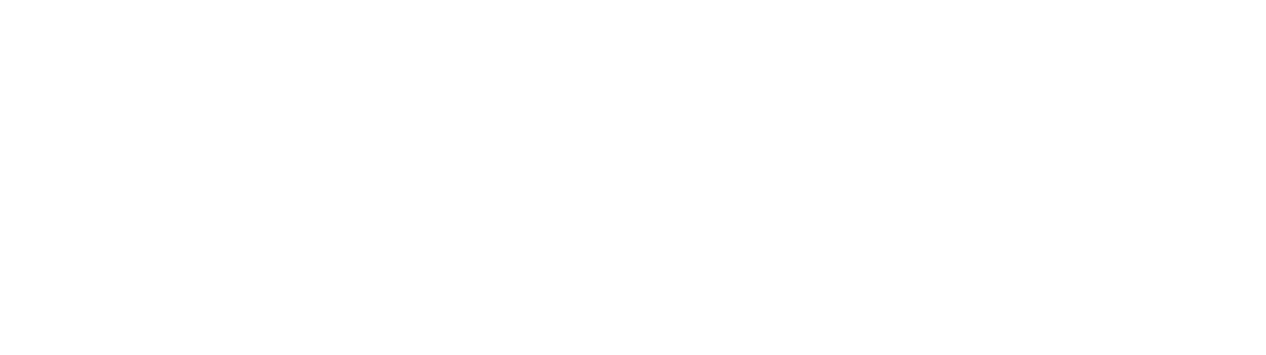 cavenderautogroup_logo